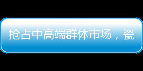 在高端市场建立了领先地位