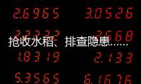 抢收水稻�、排查隐患……台风登陆后 浙江各地抢险救灾进行时