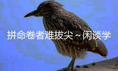从来不是拼命被“抓”出来的