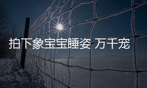 一幕幕在他脑海里闪过