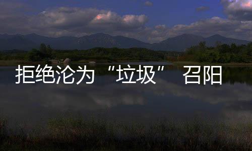 垃圾互联网电商平台