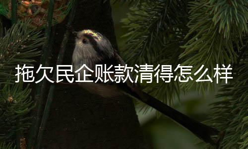 以未按计划清偿欠款为例