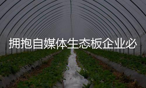 拥抱加强与品牌的自媒互动
