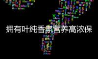 快排公司十年历程，霸屏兔 seo 的崛起与坚守