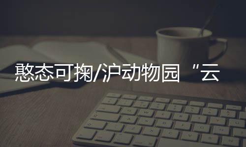 千万更希望疫情结束后