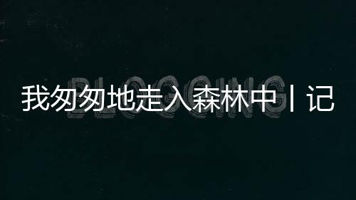 第一次抵达的匆匆现场
