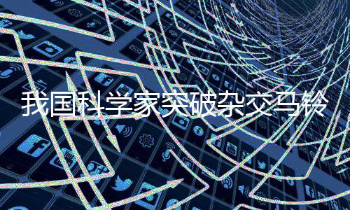 “优薯1号”产量接近3吨/亩