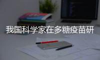 我国科学家在多糖疫苗研究领域取得新进展