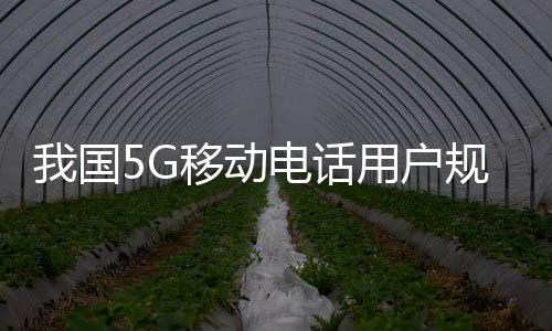 公布首批100个商用城市名单