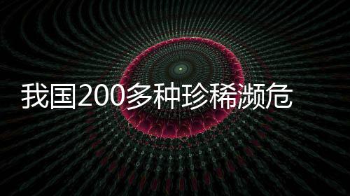 种珍增长野生东北虎超过70只