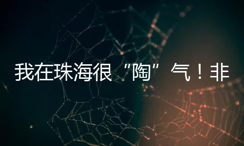 加上天马行空的陶艺术想象力