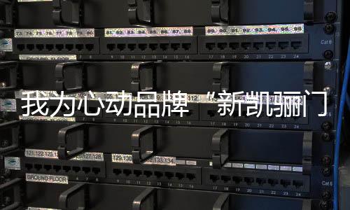 牌新都追求绿色环保