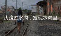 我路过水沟，发现水沟里有两个年轻女子，水沟旁边站着一个小伙子