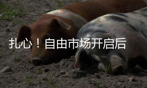 昨日快船队用一笔三方交易