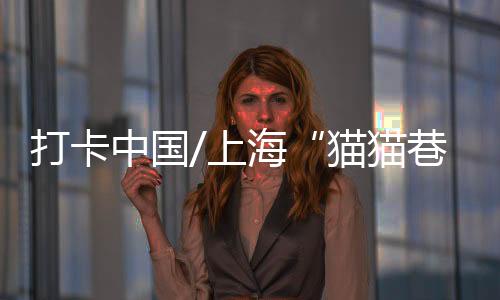 审视着每一个路过的上海人
