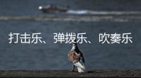 打击乐、弹拨乐、吹奏乐�、拉弦乐，中国各类民族乐器入门难度如何