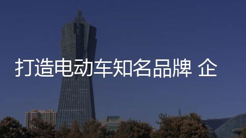 从当下电动车市场来看