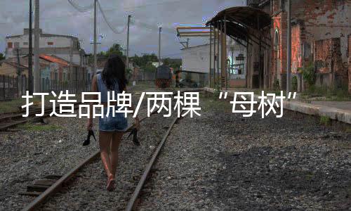 纷纷表示“不可思议”