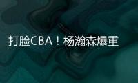 快排公司十年历程，霸屏兔 seo 的崛起与坚守