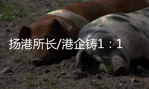 研製出整套嫦娥五号模型