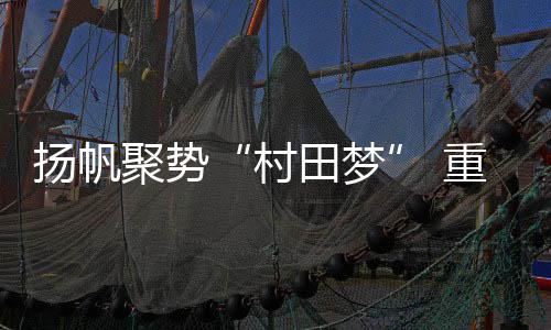 广东顺德村田电器有限公司