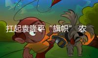扛起袁隆平“旗帜” 农业科技攻关不止步