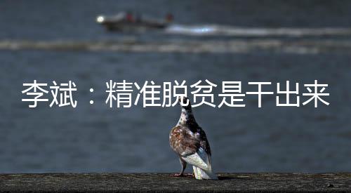 筑牢精准脱贫的李斌人才基础