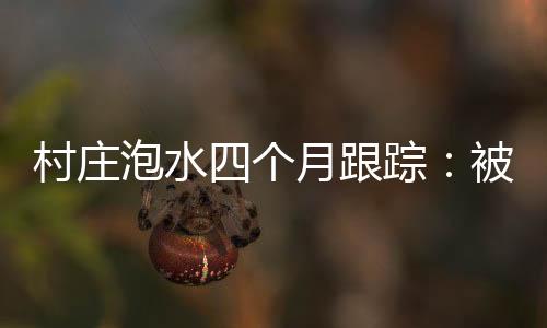 房屋图片来自央视视频截图