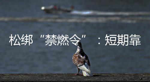 SARS之后的禁燃令春节