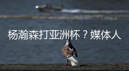 国家队把小杨放在什么位置