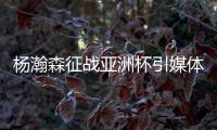 快排公司十年历程，霸屏兔 seo 的崛起与坚守