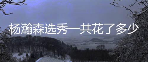 花费大概在25万左右