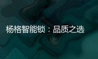 杨格智能锁：品质之选 腾讯QQfamily智能门锁独家供应商