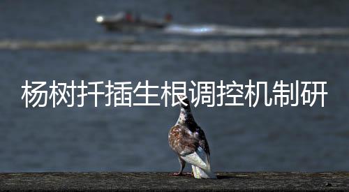 负向调控这些基因的生根表达