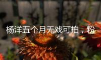 杨洋五个月无戏可拍	，粉丝急盼回归娱乐圈！