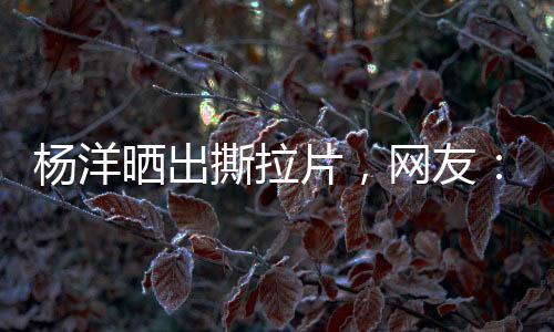 值得玩味的杨洋友想是