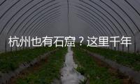 快排公司十年历程，霸屏兔 seo 的崛起与坚守