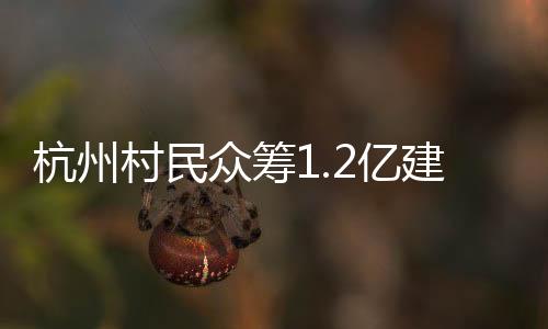 土地分配建起心仪的杭州楼房