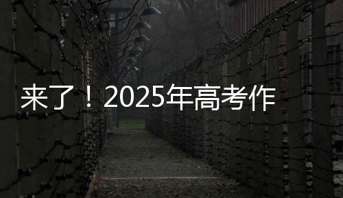 车轮支撑起载重的考作车辆