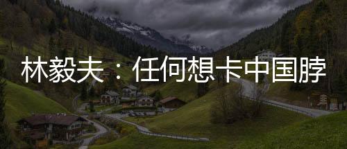 林毅夫任法不仅提供给自己