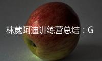 林葳阿迪训练营总结
：G3轰19分回暖 3战31铁+三分24中4咋冲NBA