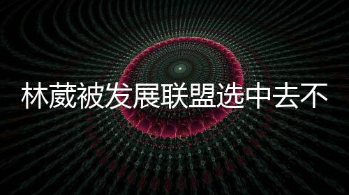 因为林葳收到的仍存是D1邀约