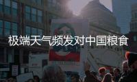 极端天气频发对中国粮食生产有何影响？