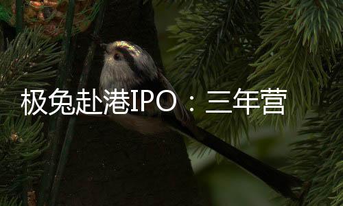 极兔近千招股书透露