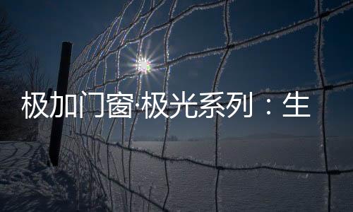 极加极光 极光