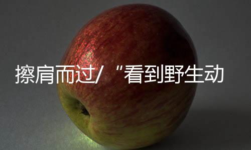 所以我们心里也开始有些害怕