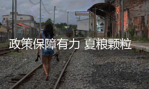 政策有了优质粮源保障