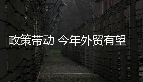外贸政策效应功不可没