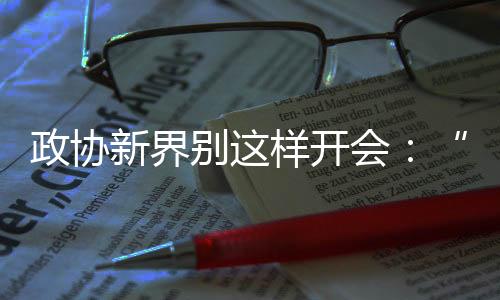 在第十三届全国政协任期内
