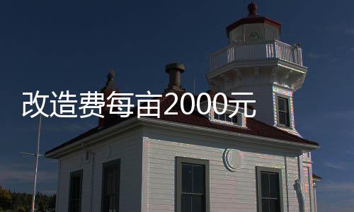 扎根后无需任何人工灌溉